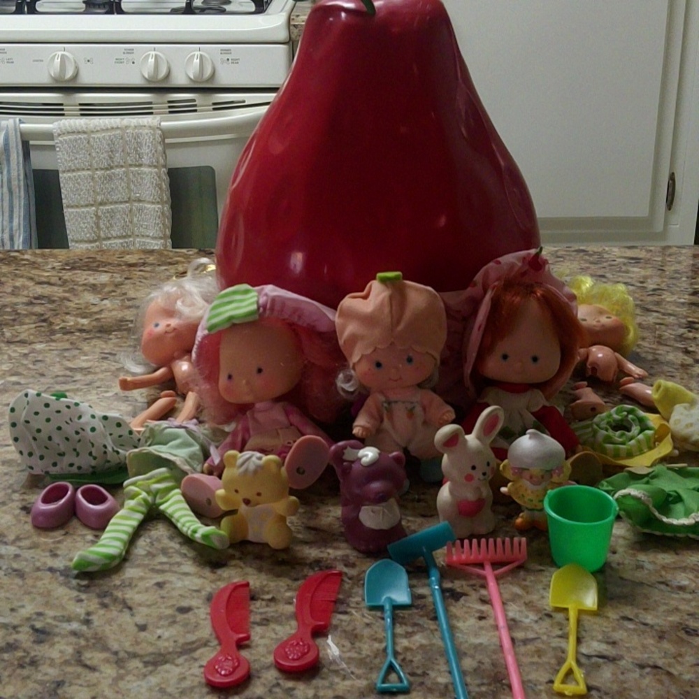 3 strawberry shortcake, 3 pets, 1 mini, case and 2 broken dolls with clothes
